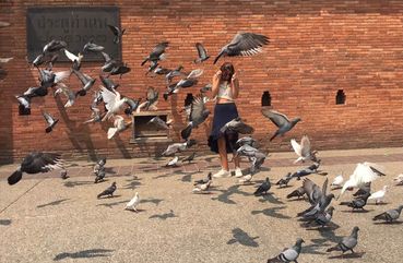 Trishaw and Maeping River Cruise