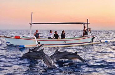 Lovina Dolphin Watching, Lovina, Bali