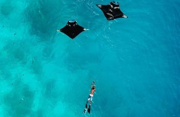 Swimming with Manta Rays, Nusa Penida