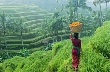 Tegalalang Rice Terrace, Bali