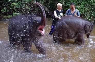 Playing with elephants in Kuala Lumpur