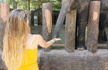 Elephant Sanctuary in Kuala Lumpur