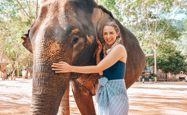 Phuket Ethical Elephant Sanctuary & Temple Tour (Half Day)  