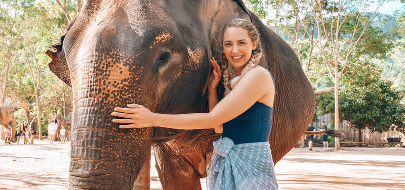 Phuket Ethical Elephant Sanctuary & Temple Tour (Half Day)  