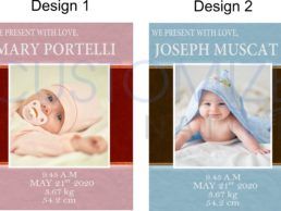 PPNL19-02 – New Born Photo Stats Wall Panel 2