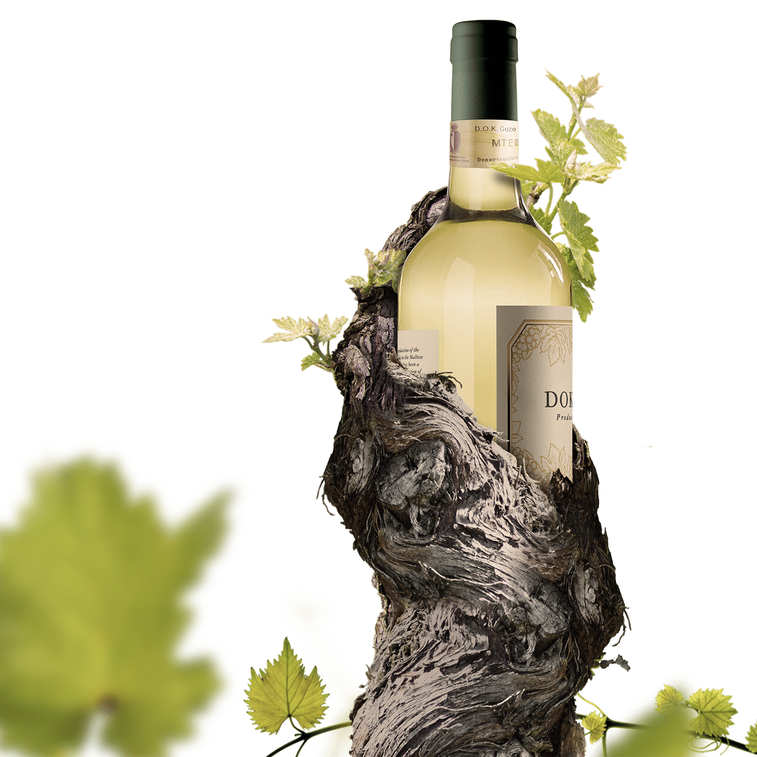 Wine Bottle