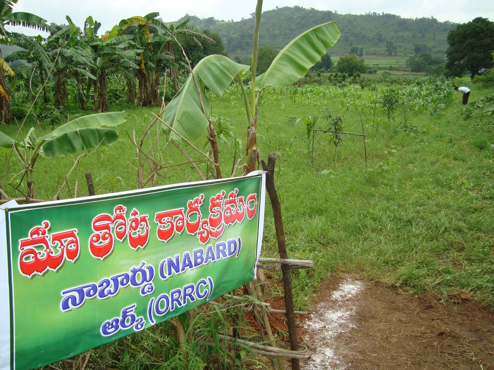 ORRC rural empowerment initiative