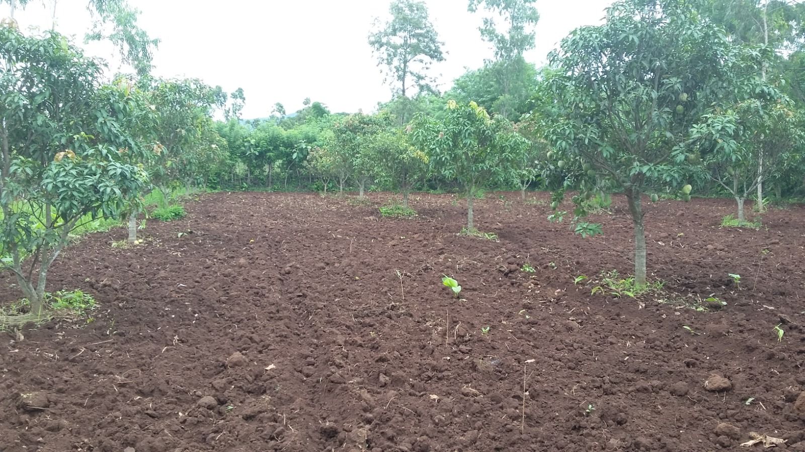 ORRC rural empowerment