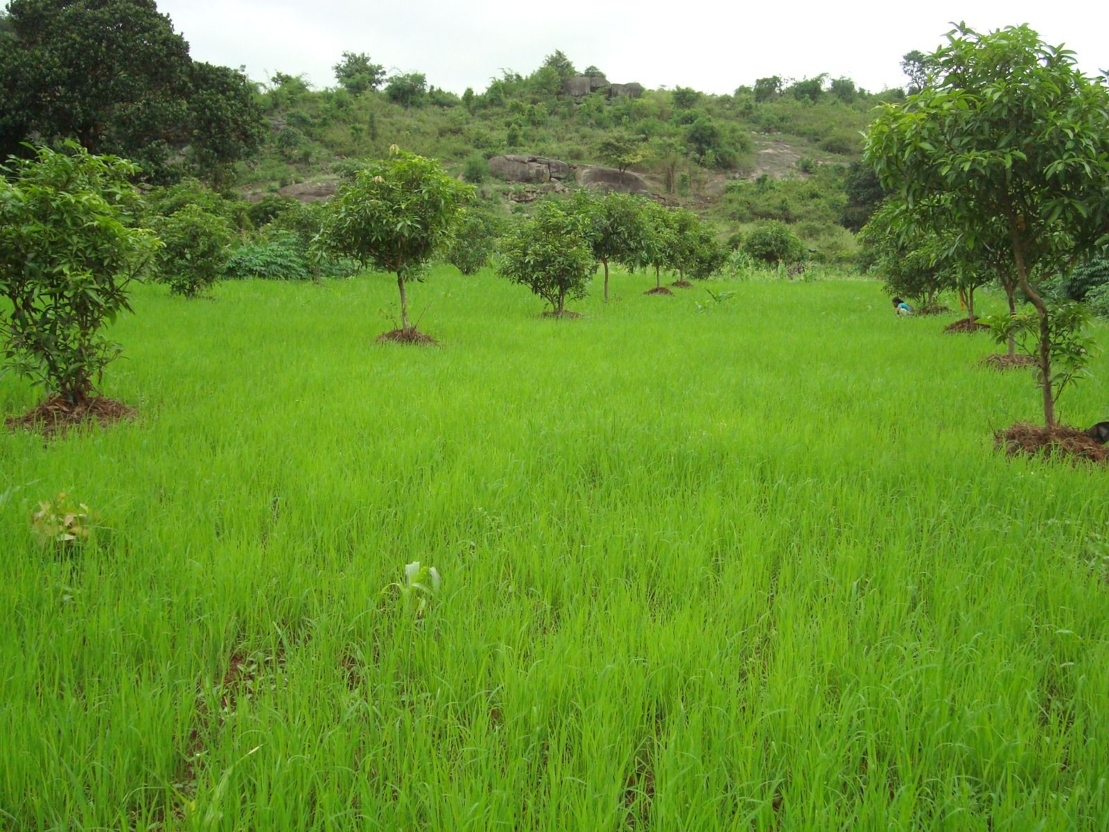 ORRC community meeting and discussion