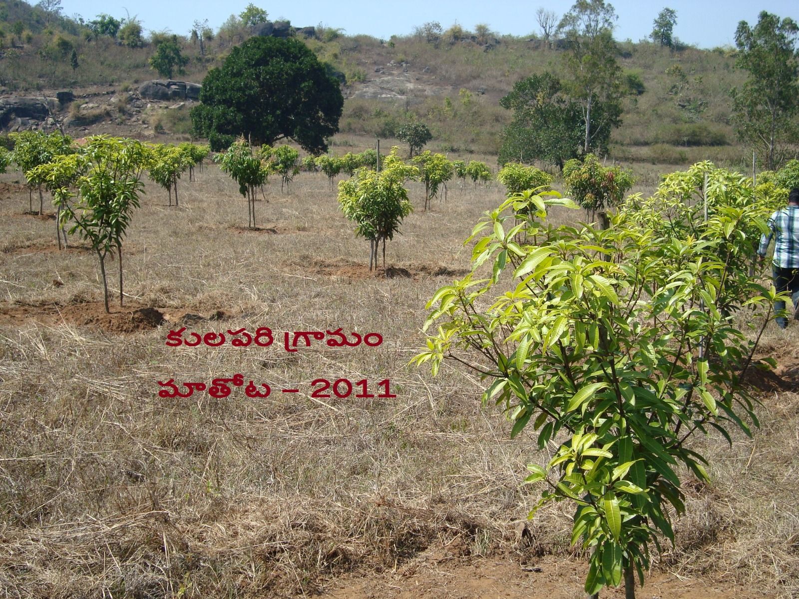 ORRC community engagement activity