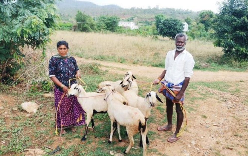 Venkatalakshmi