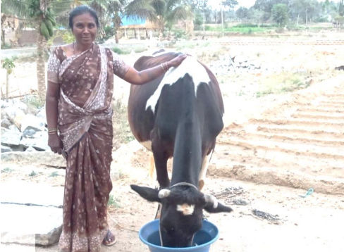 S Lalitha