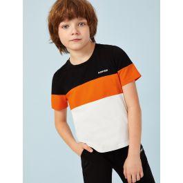 Boys Colorblock Letter Print Tee