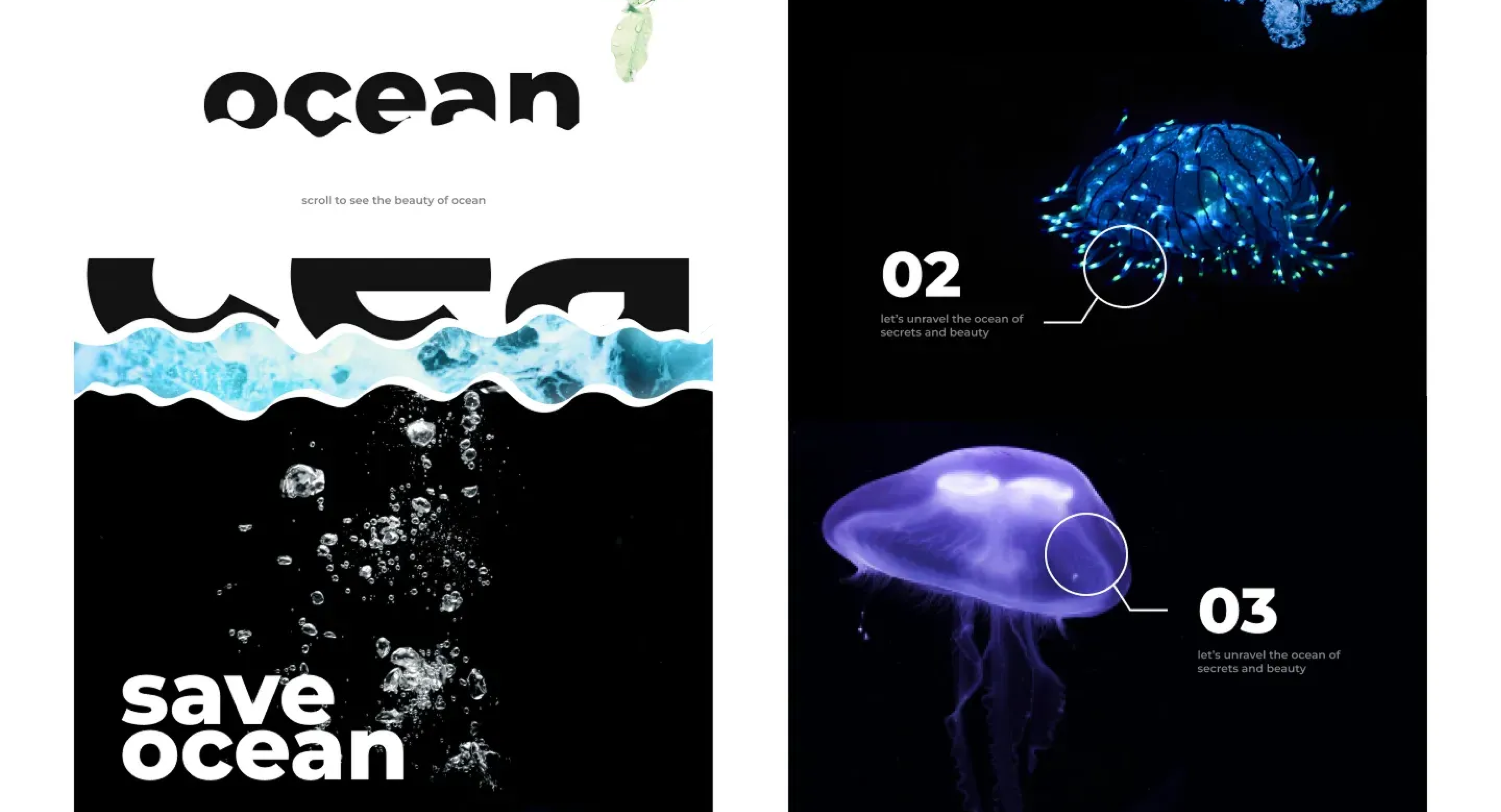 Ocean branding design