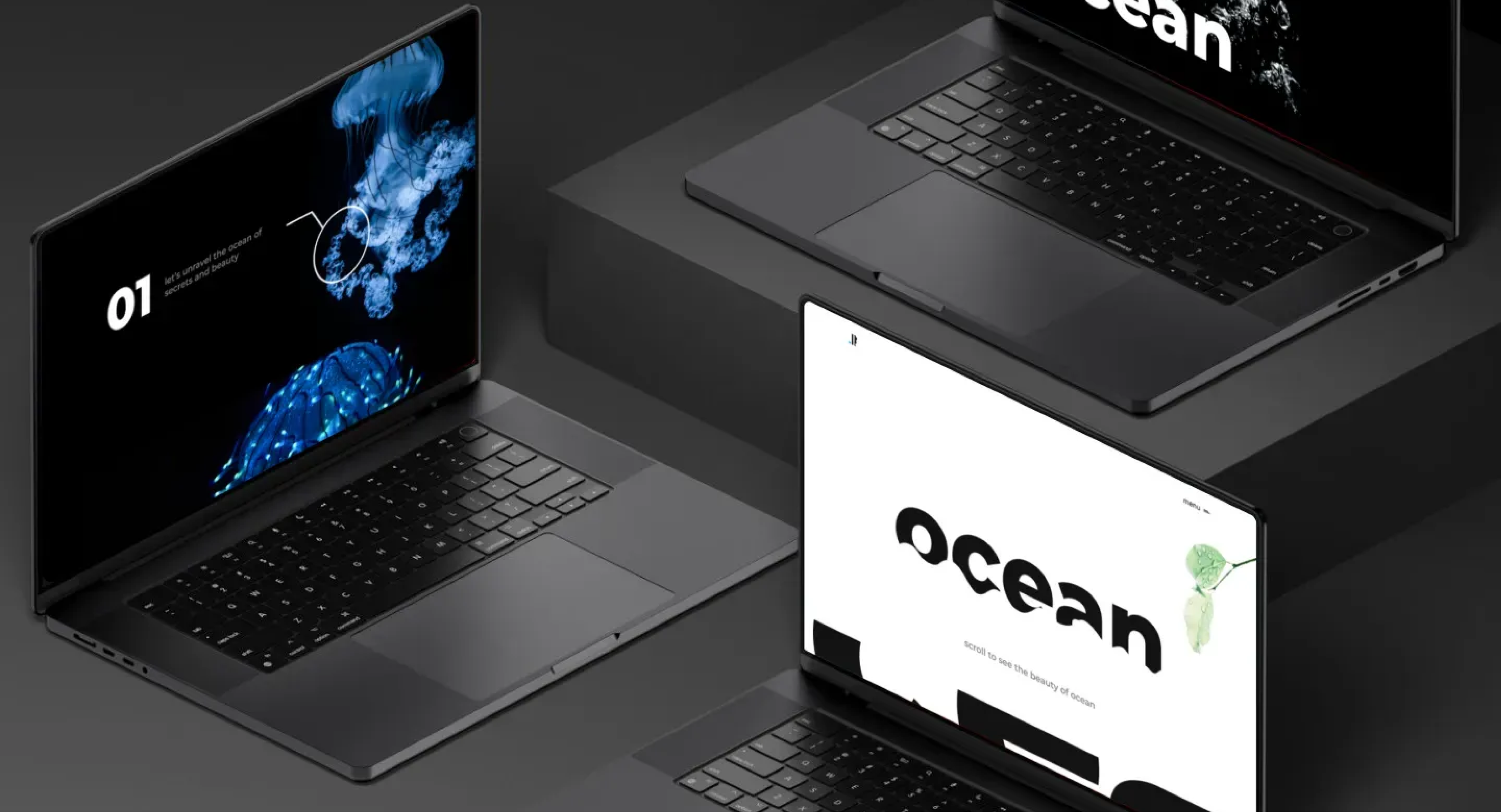 Ocean Website UI/UX design & development