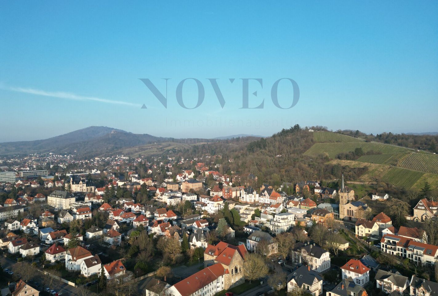 Blick über Bensheim