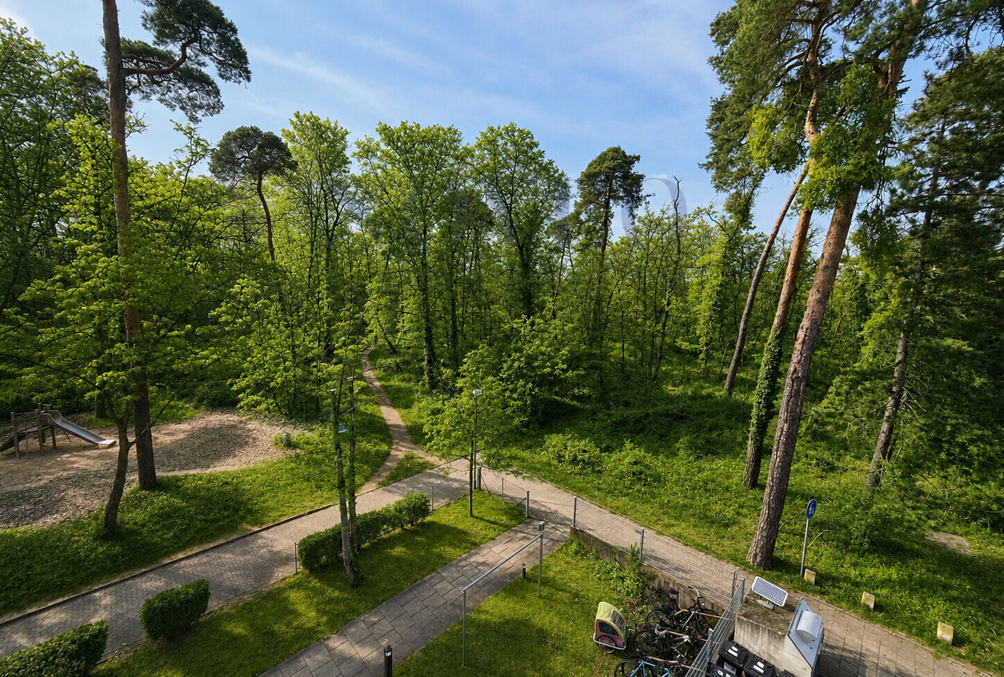 Blick vom Balkon-Waldrand