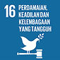 SDG 16