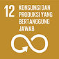 SDG 12