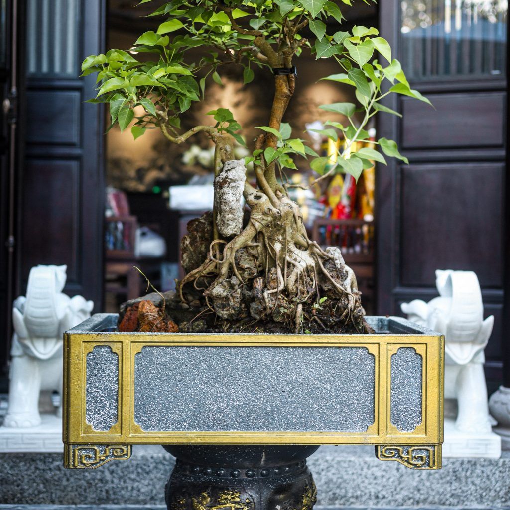 KunKin Boutique Garden Hue