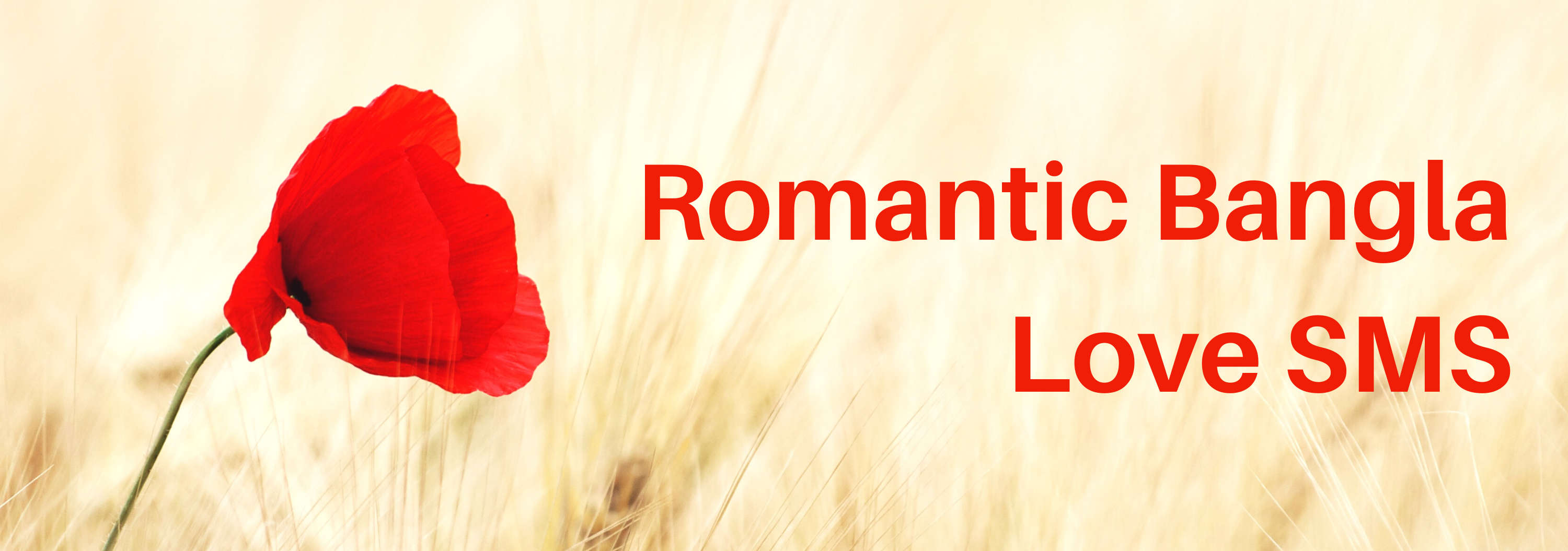 Romantic Bangla Love SMS 2023
