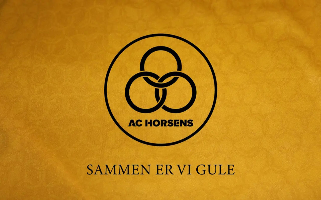 Homepage screenshot of achorsens.dk