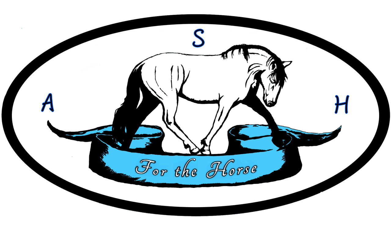 Homepage screenshot of amyskinnerhorsemanship.com