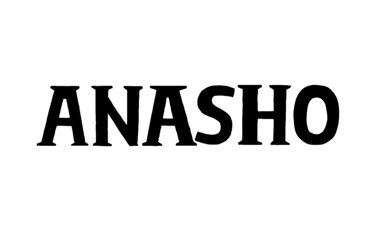 Homepage screenshot of anasho.jp