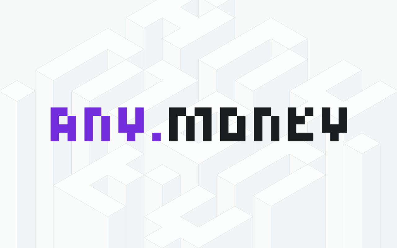 Homepage screenshot of any.money