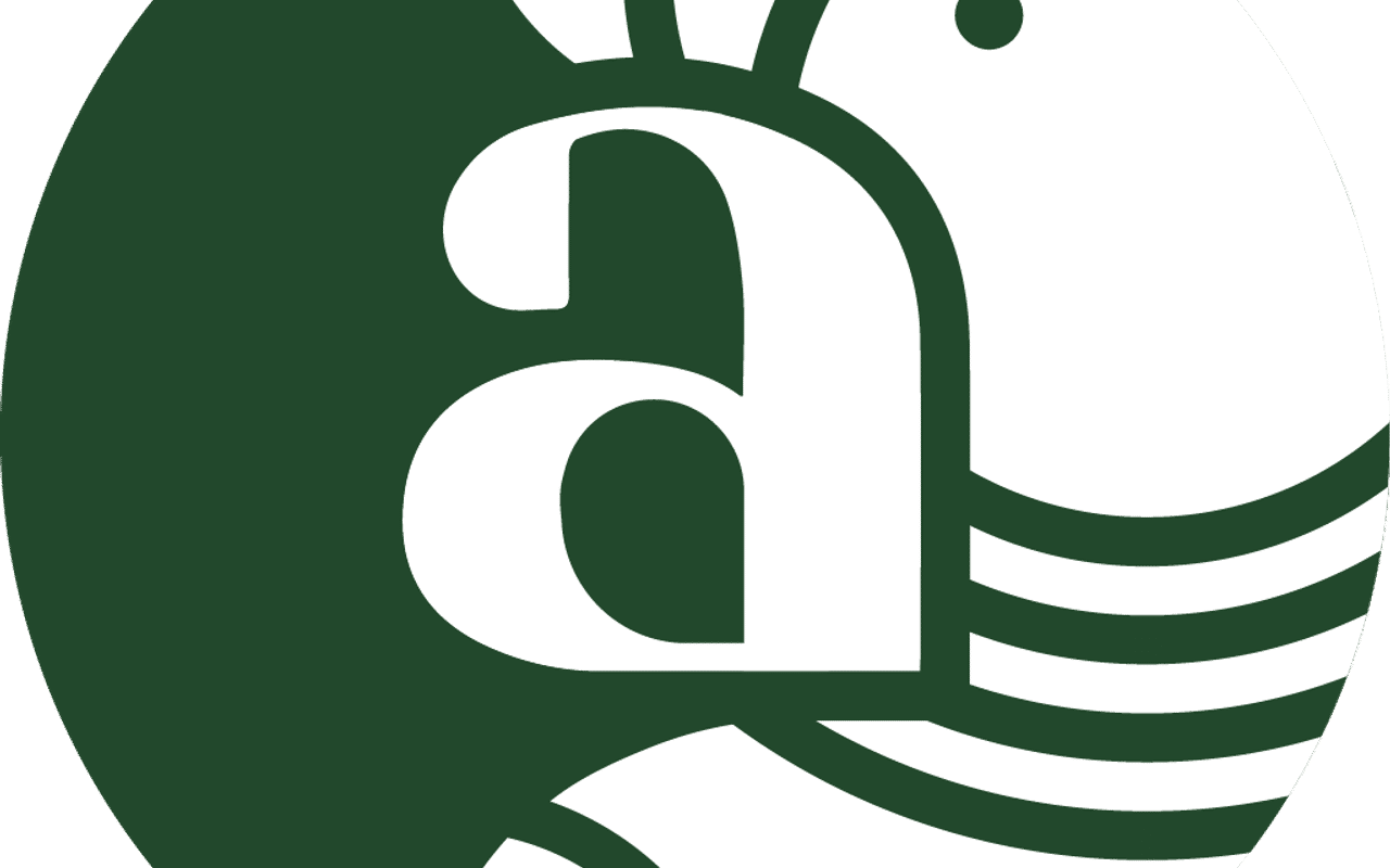 Homepage screenshot of arter.dk