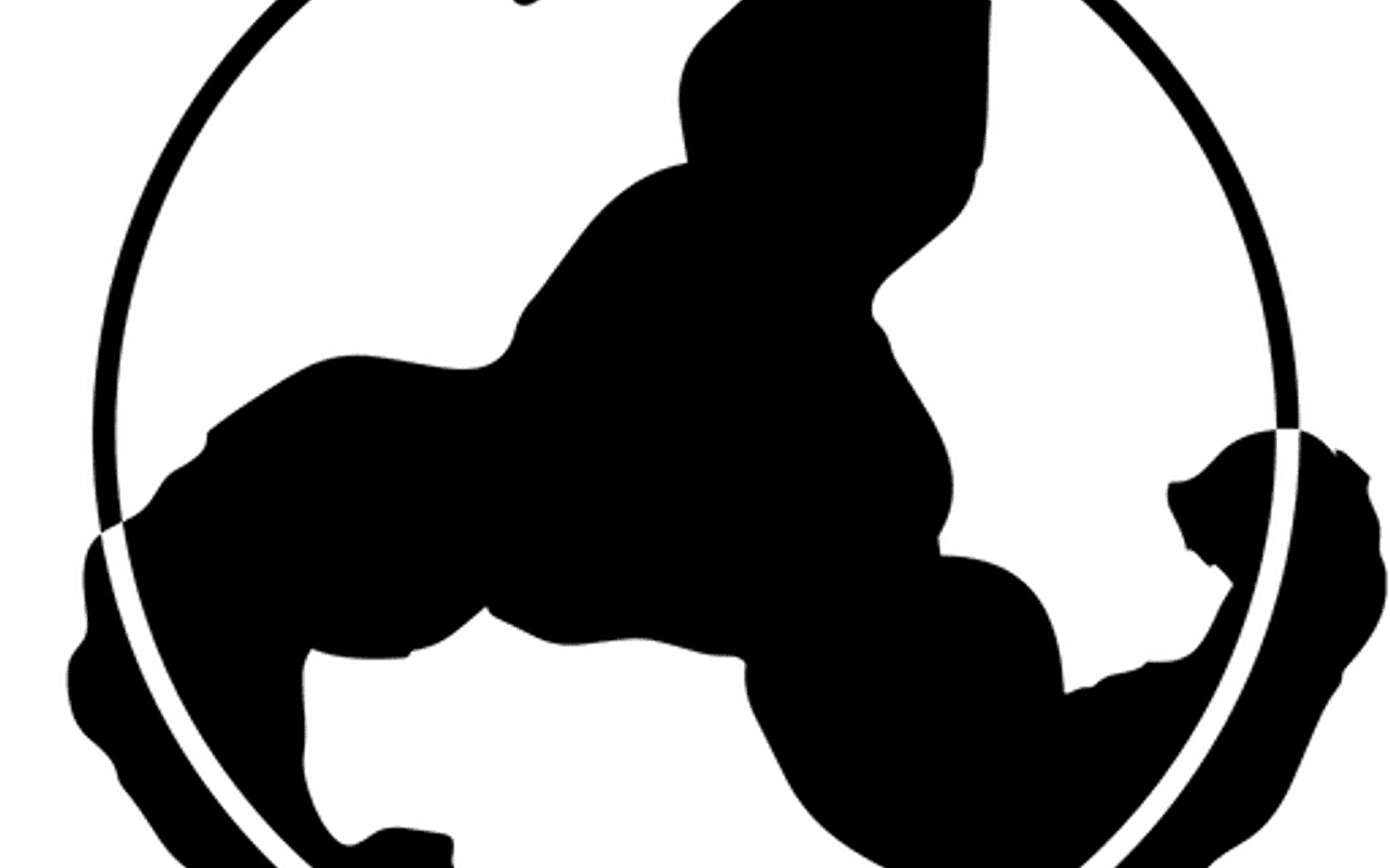 Homepage screenshot of bicepmusic.com