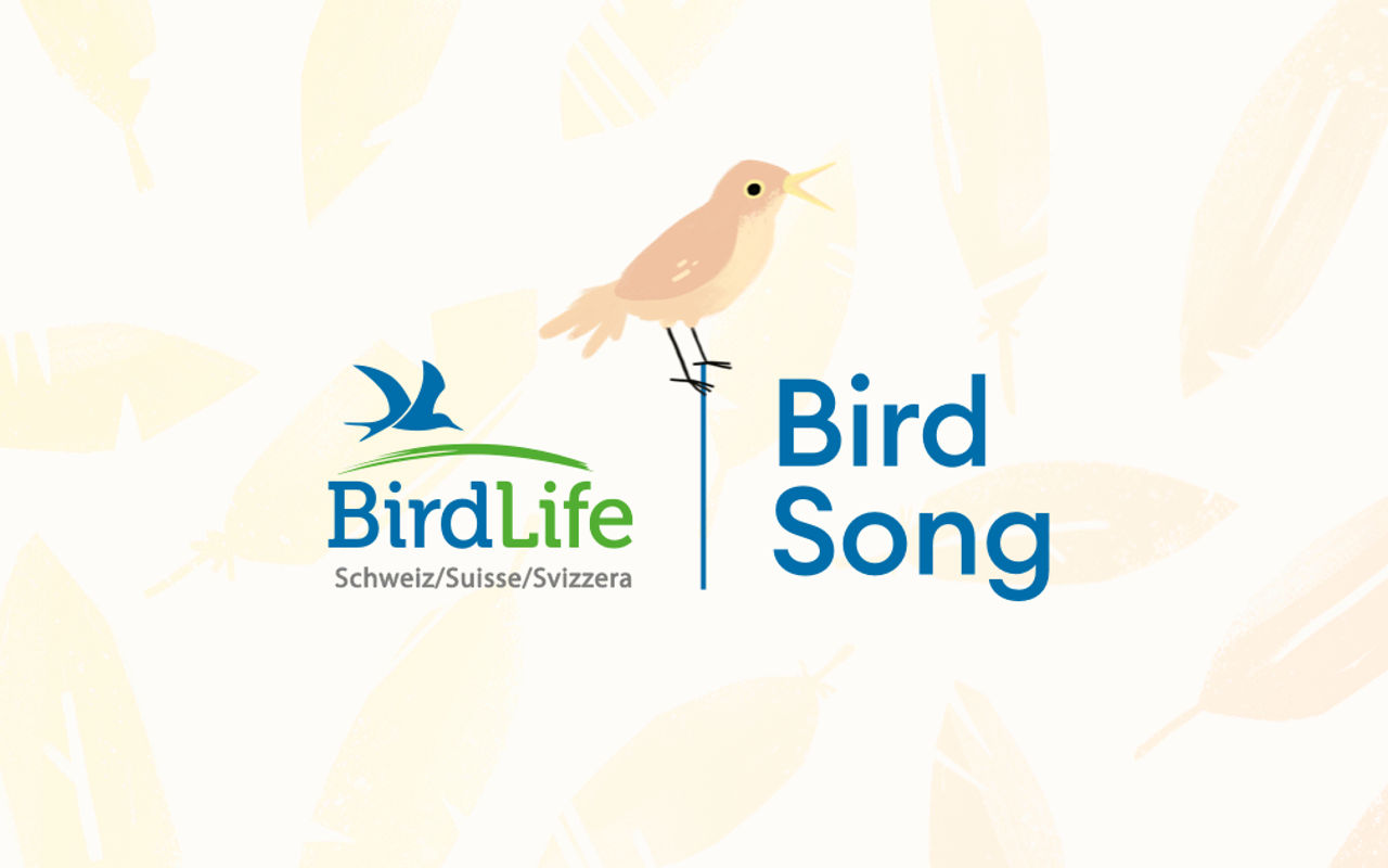 Homepage screenshot of bird-song.ch