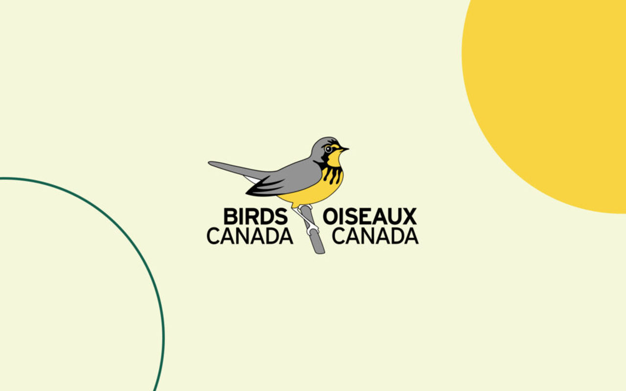 Homepage screenshot of birdscanada.org
