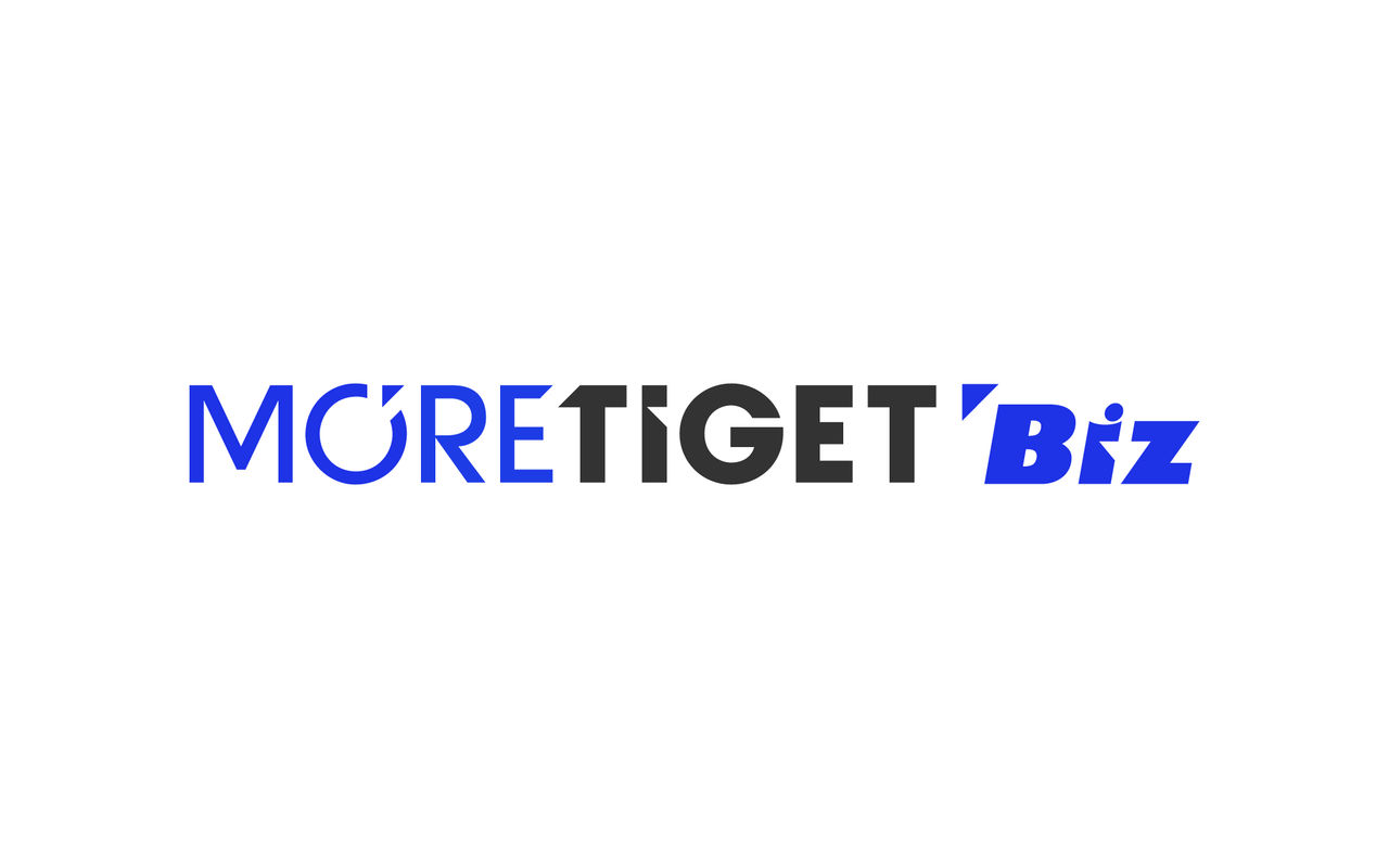 Homepage screenshot of biz.more.tiget.net