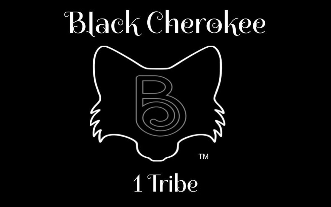 Homepage screenshot of blackcherokee1tribe.com