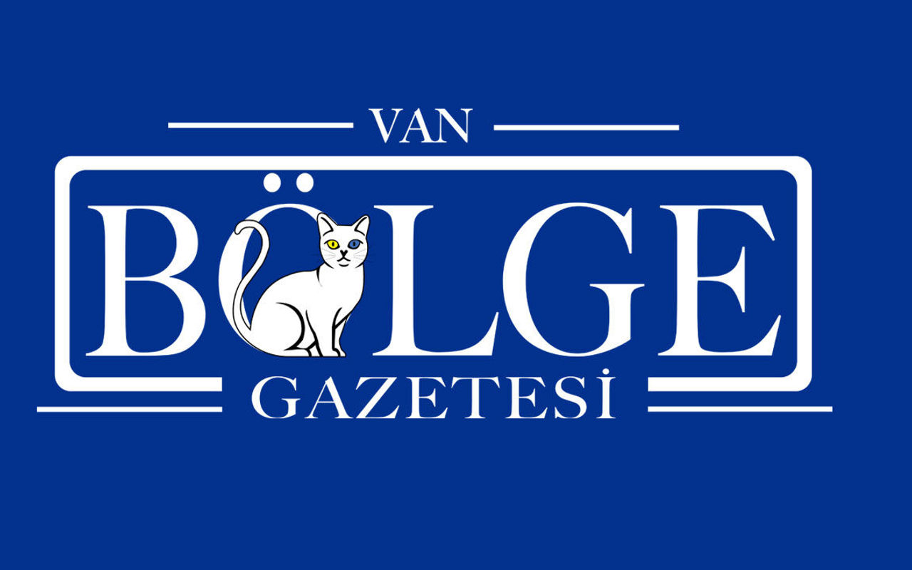 Homepage screenshot of bolgegazetesivan.com