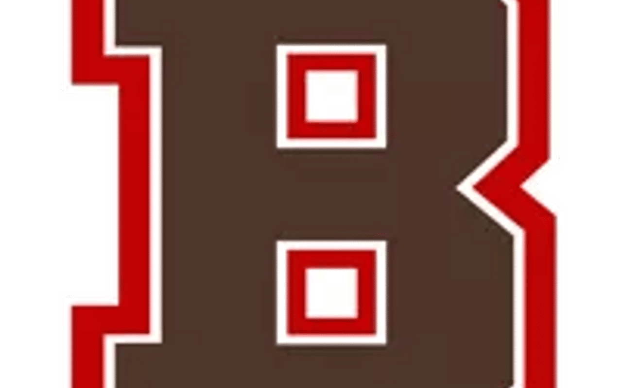 Homepage screenshot of brownbears.com