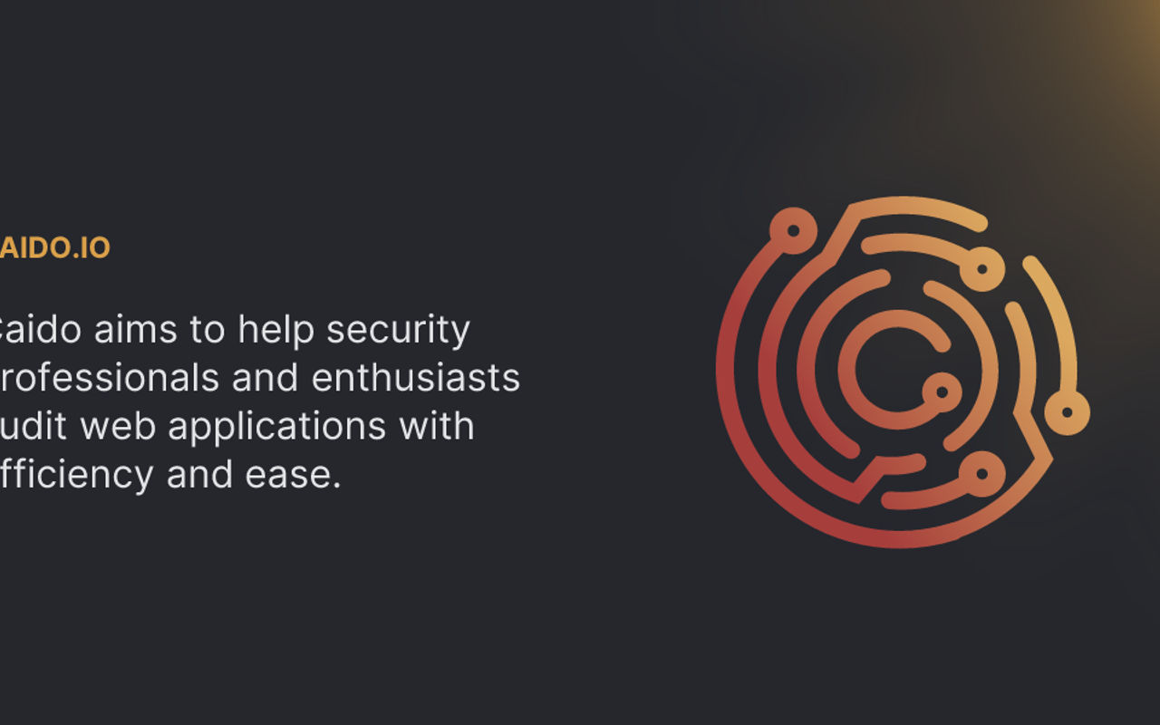 Homepage screenshot of caido.io