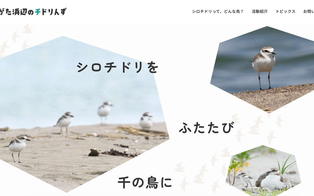 Homepage screenshot of chidorins.studio.site