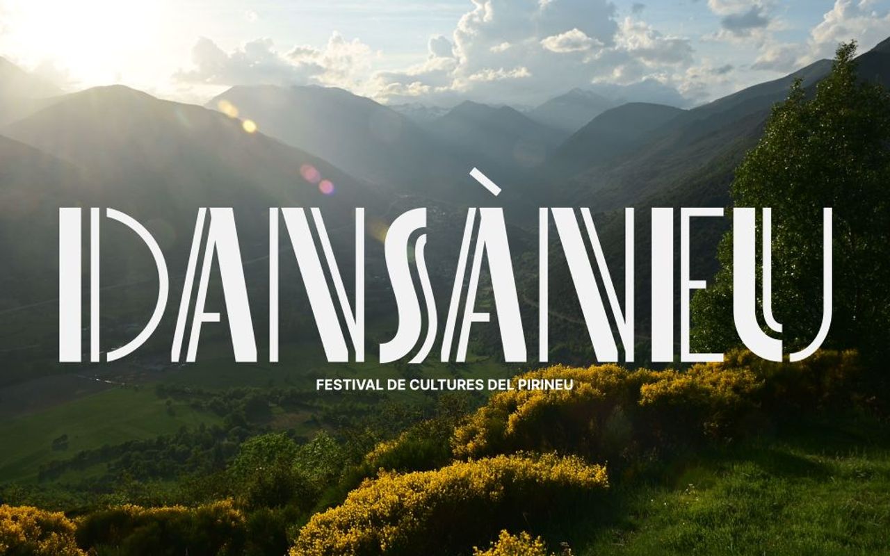 Homepage screenshot of dansaneu.cat