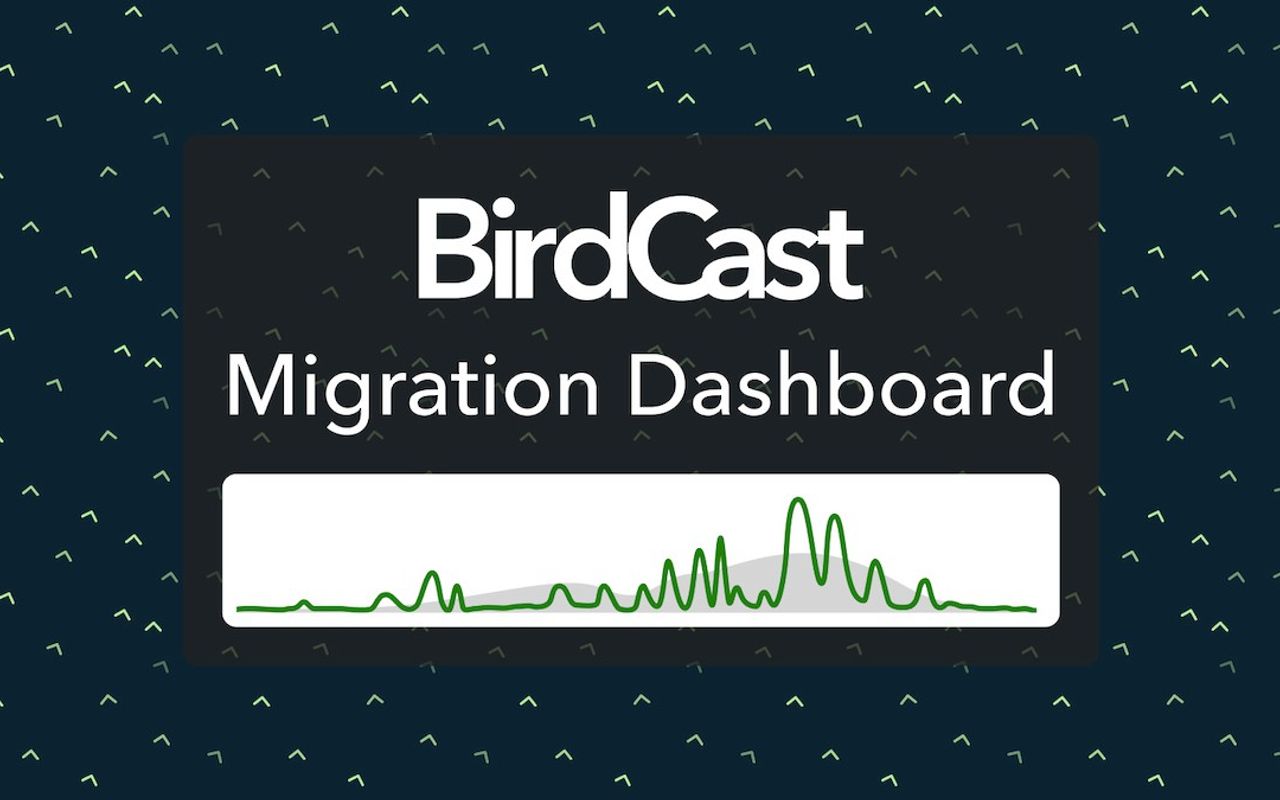Homepage screenshot of dashboard.birdcast.org