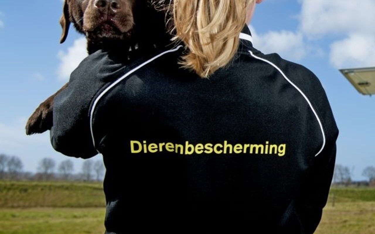 Homepage screenshot of dierenbescherming.nl