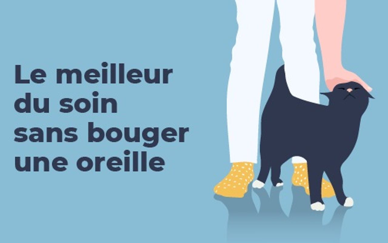 Homepage screenshot of drmilou.fr