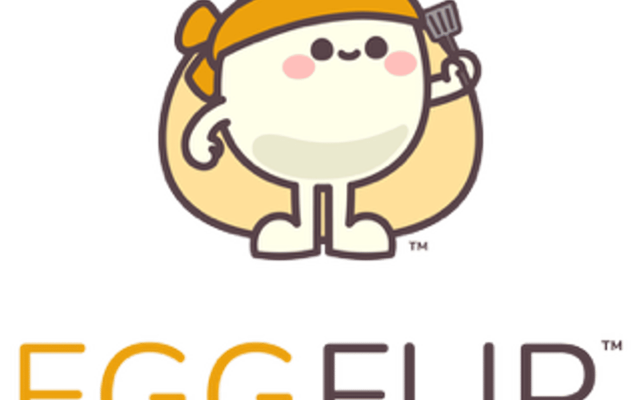 Homepage screenshot of eggflipusa.com