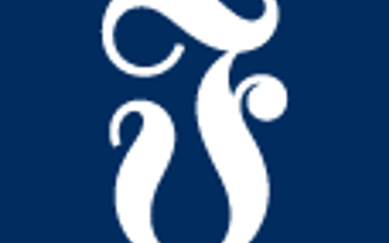 Homepage screenshot of fvn.no