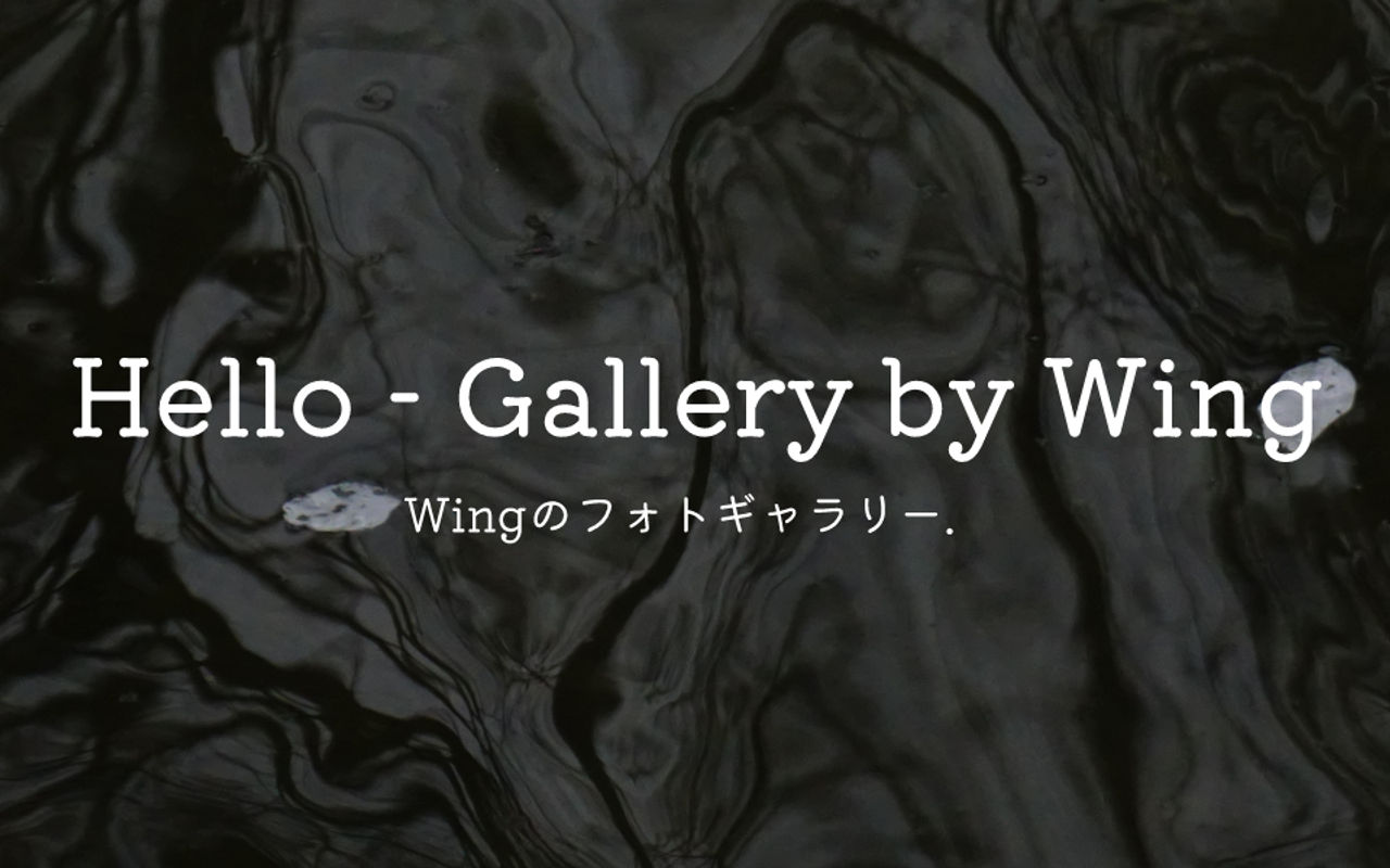 Homepage screenshot of gallery.wing.osaka