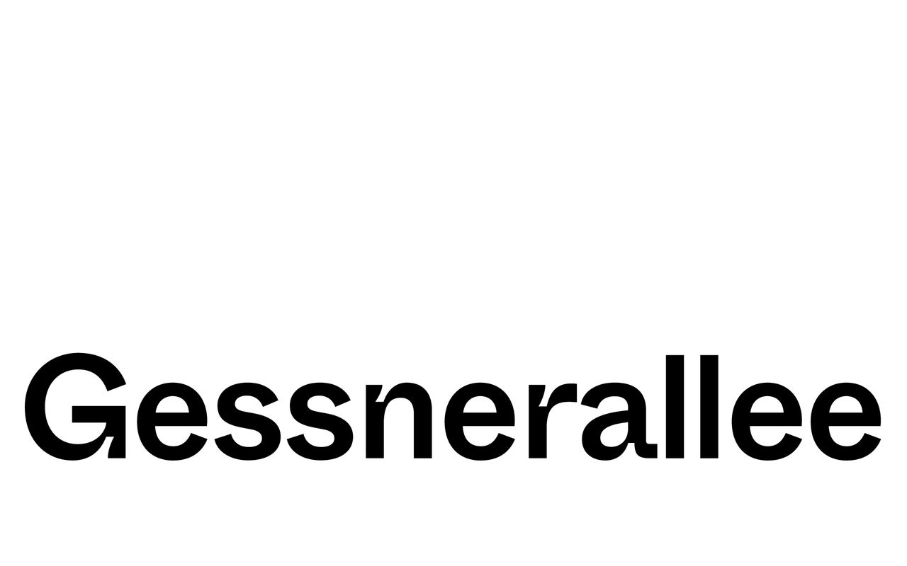 Homepage screenshot of gessnerallee.ch