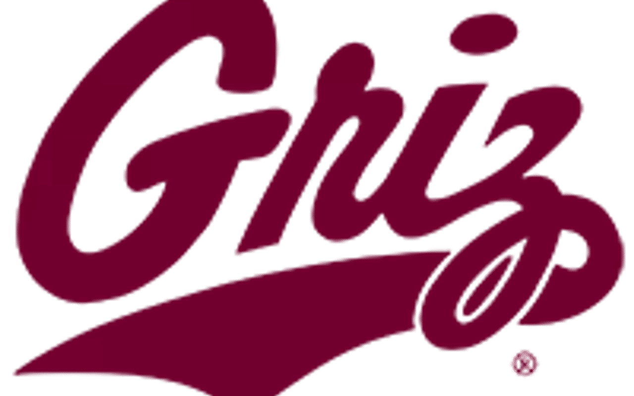 Homepage screenshot of gogriz.com