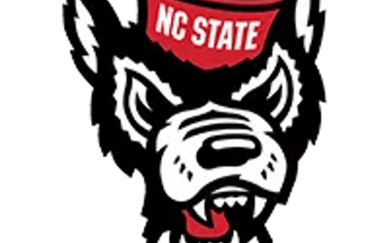 Homepage screenshot of gopack.com