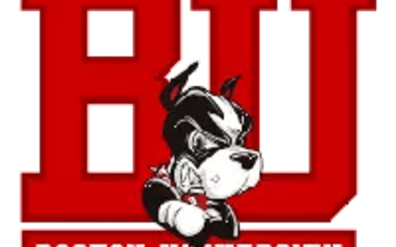 Homepage screenshot of goterriers.com
